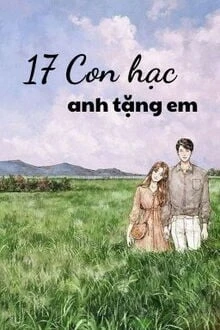 [Truyện Chữ] - 17 Con Hạc Anh Tặng Em