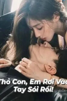 [Truyện Chữ] - Thỏ Con, Em Rơi Vào Tay Sói Rồi!