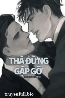 [Truyện Chữ] - Thà Đừng Gặp Gỡ (Đam Mỹ)