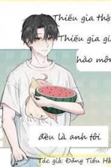 [Truyện Chữ] - Thật Thiếu Gia Từ Cổ Đại Xuyên Trở Về Rồi