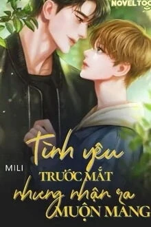 [Truyện Chữ] - Tình Yêu Trước Mắt Nhưng Nhận Ra Muộn Màng