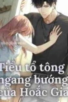 [Truyện Chữ] - Tiểu Tổ Tông Ngang Bướng Của Hoắc Gia