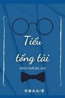 [Truyện Chữ] - Tiểu Tổng Tài