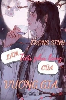 [Truyện Chữ] - Trọng Sinh Làm Tiểu Phu Lang Của Vương Gia