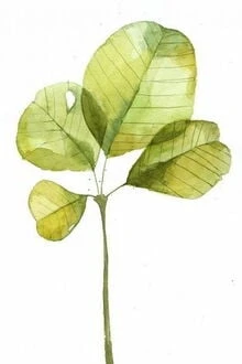 [Truyện Chữ] - Trầm Chu