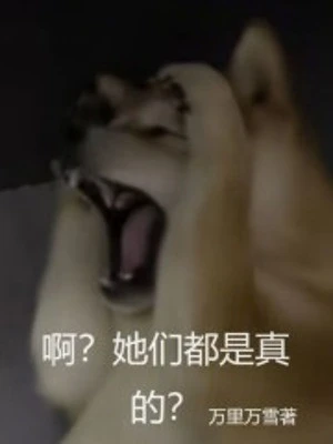 [Truyện Chữ] - A? Các Nàng Đều Là Thật?