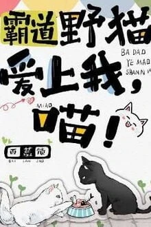 [Truyện Chữ] - Bá Đạo Mèo Hoang Yêu Ta, Meo~!