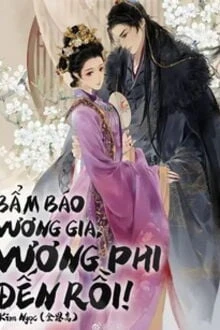 [Truyện Chữ] - Bẩm Báo Vương Gia, Vương Phi Đến Rồi
