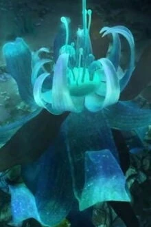 [Truyện Chữ] - Băng Tâm Hoa Liệu Đã Tan