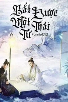 [Truyện Chữ] - Bắt Được Một Thái Tử