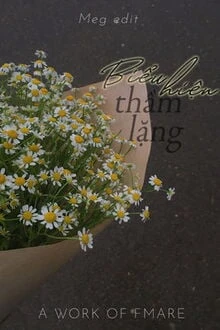 [Truyện Chữ] - Biểu Hiện Thầm Lặng