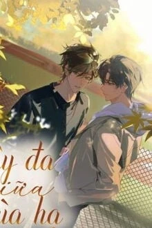 [Truyện Chữ] - Cây Đa Giữa Mùa Hè