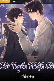 [Truyện Chữ] - Chỉ Ngốc Một Lần