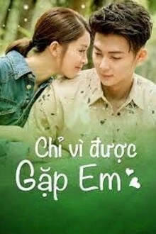 [Truyện Chữ] - Chỉ Vì Gặp Được Em