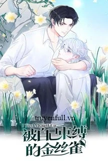 [Truyện Chữ] - Chim Hoàng Yến Bị Trói Buộc Bởi Chính Mình