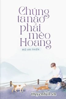 [Truyện Chữ] - Chúng Ta Nào Phải Mèo Hoang
