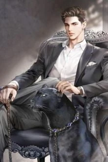 [Truyện Chữ] - Công Cuộc Theo Đuổi Của Lăng Tổng