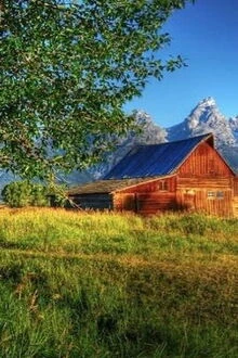 [Truyện Chữ] - Cuộc Sống Hạnh Phúc Ở Nông Trường