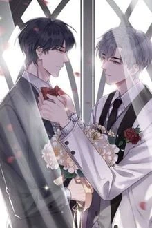 [Truyện Chữ] - Hợp Đồng Ly Hôn Trước Khi Tôi Mất Trí Nhớ