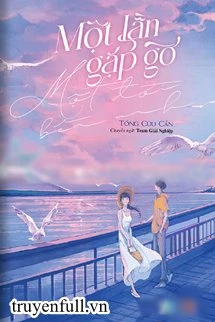 [Truyện Chữ] - Một Lần Gặp Gỡ Một Đời Bên Anh