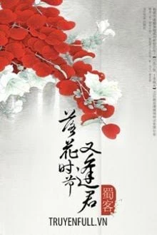 [Truyện Chữ] - Mùa Hoa Rơi Gặp Lại Chàng