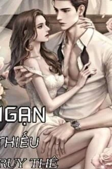 [Truyện Chữ] - Ngạn Thiếu Truy Thê