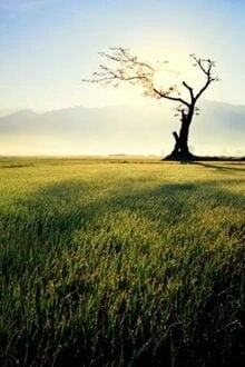 [Truyện Chữ] - Nhất Lộ