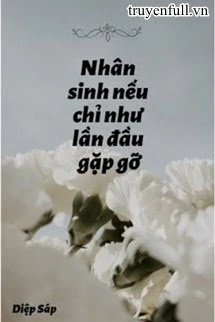 [Truyện Chữ] - Nhân Sinh Nếu Chỉ Như Lần Đầu Gặp Gỡ
