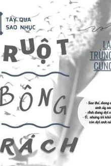 [Truyện Chữ] - Ruột Bông Rách