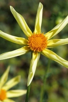 [Truyện Chữ] - Sám Hối Muộn Màng